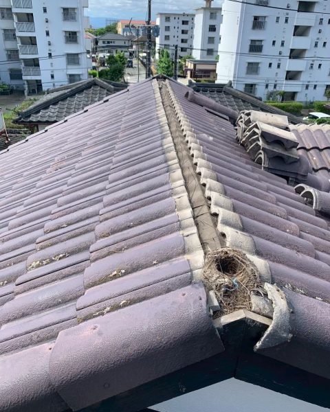 【熊本市】ズレていた屋根の棟を積み直し、雨と風に強い状態への施工写真（3枚目）