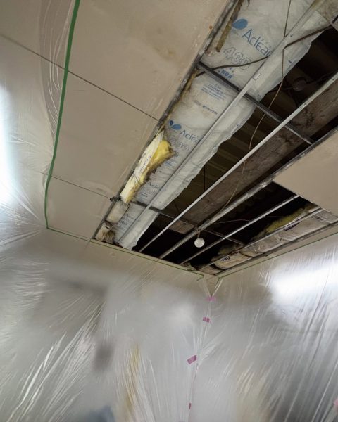 【山鹿市】稼働を止めずに、食品工場の天井を衛生的な状態へ張り替え（施工前）