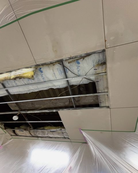 【山鹿市】稼働を止めずに、食品工場の天井を衛生的な状態へ張り替えの施工写真（2枚目）