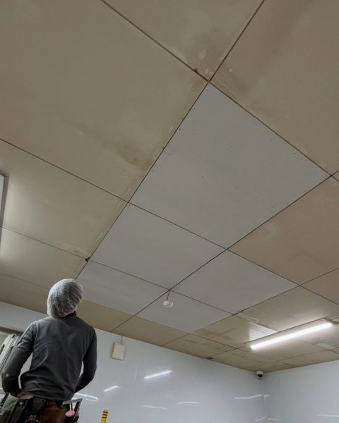 【山鹿市】稼働を止めずに、食品工場の天井を衛生的な状態へ張り替えの施工写真（6枚目）